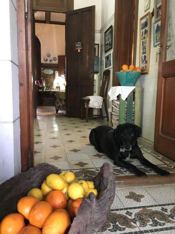 Casa Ruchi 1893 Bed & Breakfast Tigre Exterior photo